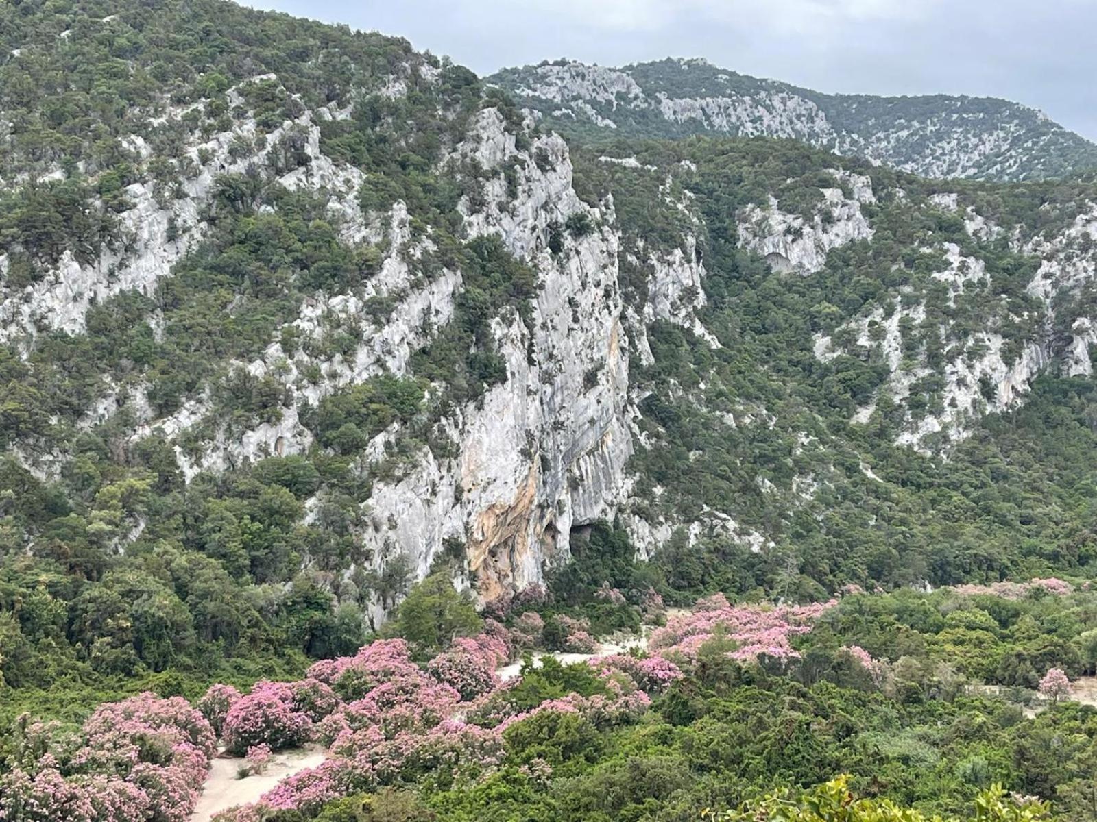 Sa Troppa De Sos Chentu Otel Dorgali Dış mekan fotoğraf