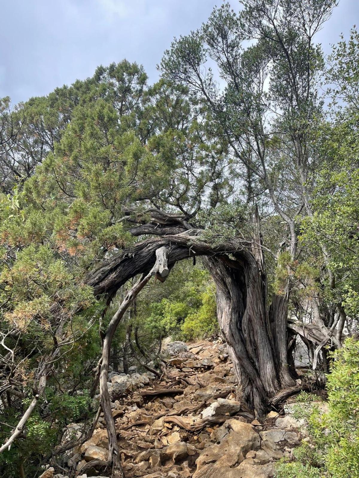 Sa Troppa De Sos Chentu Otel Dorgali Dış mekan fotoğraf