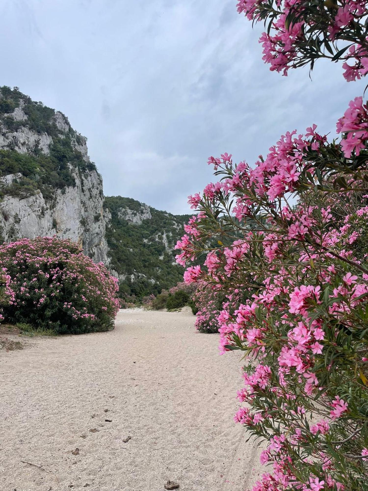 Sa Troppa De Sos Chentu Otel Dorgali Dış mekan fotoğraf